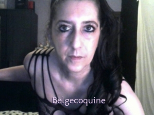 Belgecoquine