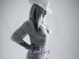 Catofyork