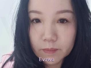 Evawa