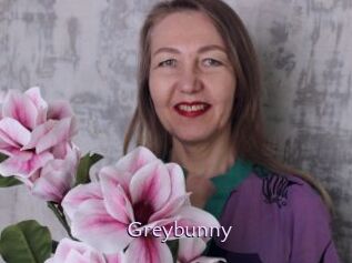 Greybunny