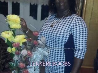 LEKKEREBOOBS