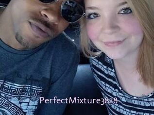 PerfectMixture3828