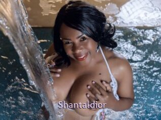 Shantaldior