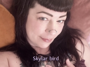 Skylar_bird
