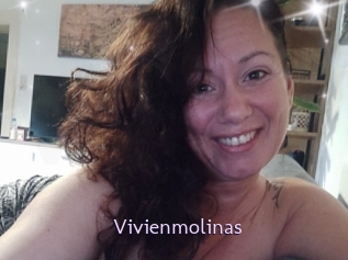 Vivienmolinas