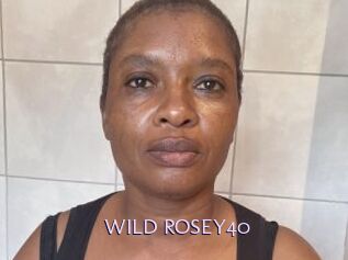WILD_ROSEY40