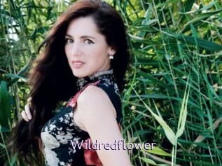 Wildredflower