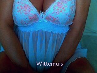 Wittemuis